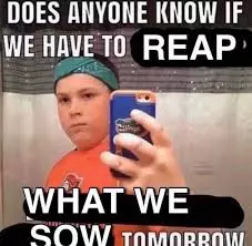 1749354684912.webp