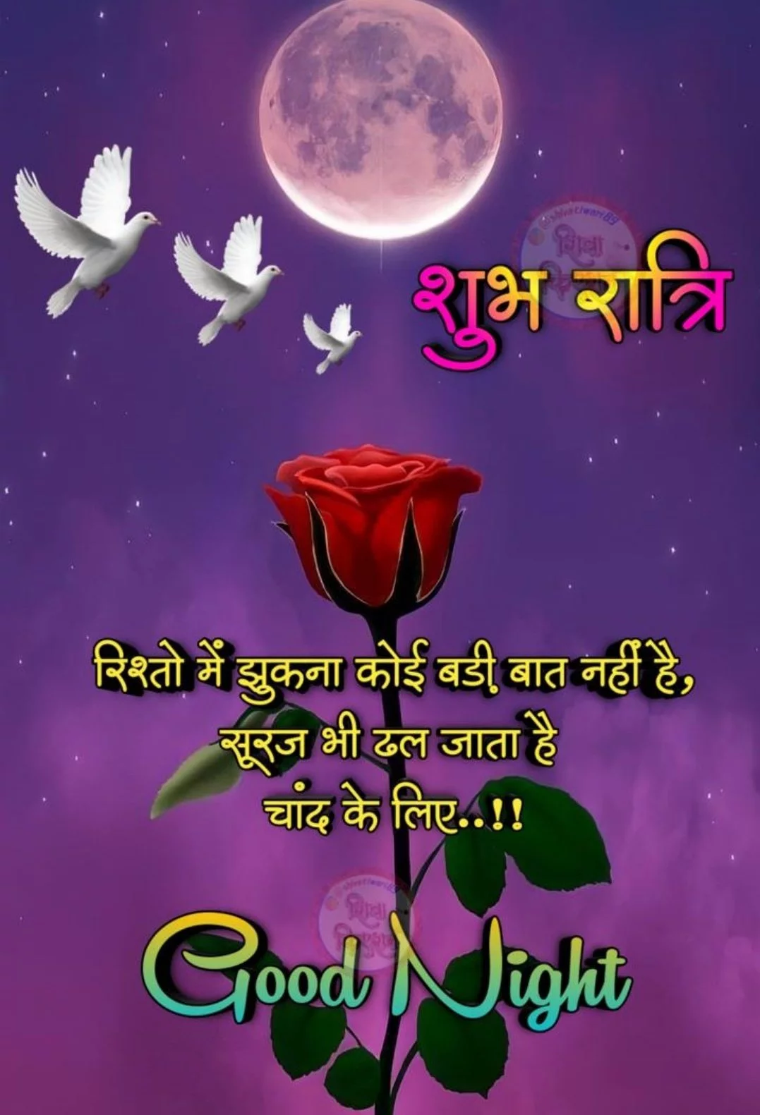 1749588061330.webp