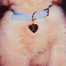 1749694077081.webp