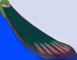 1750587857921.webp
