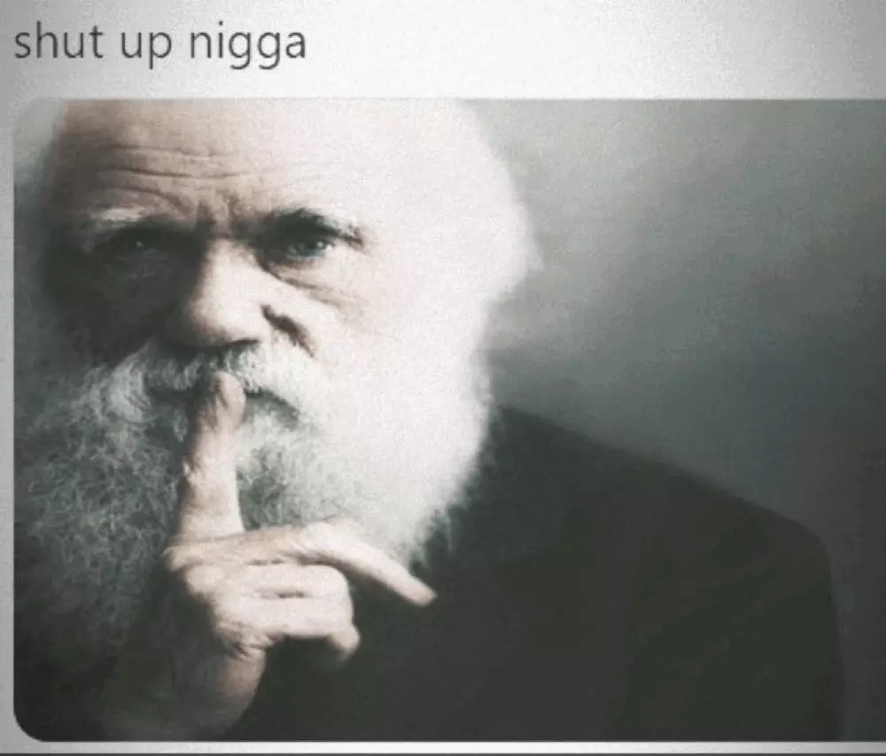 1750684028774b-0_1.webp