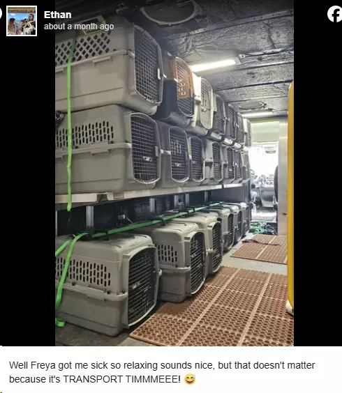 1751136084028.webp
