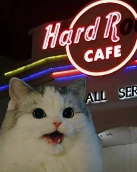 1751479440989925.webp