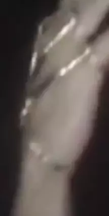 1753897196485.webp