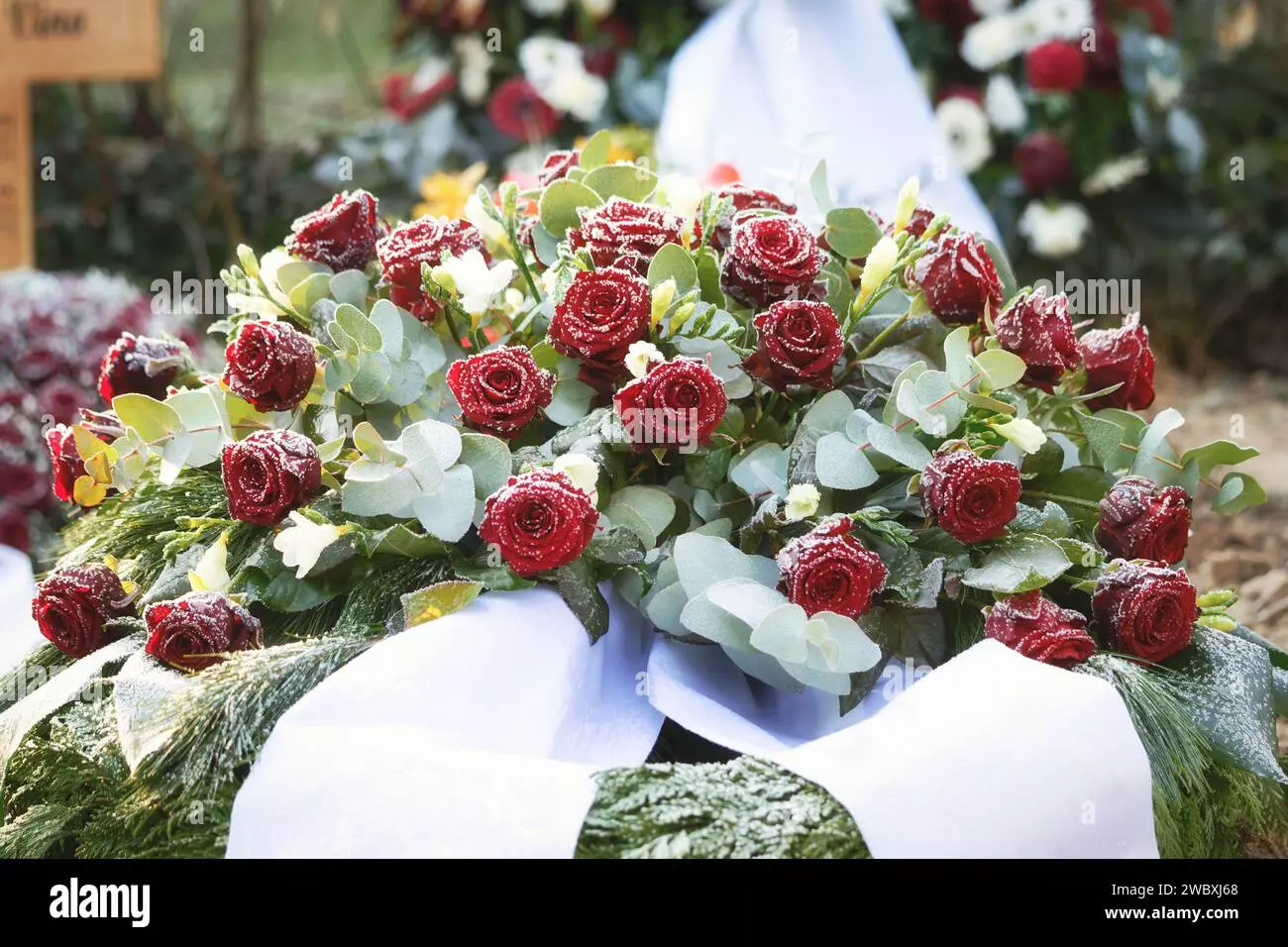 1755872286944.webp