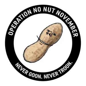 1764633919475.png