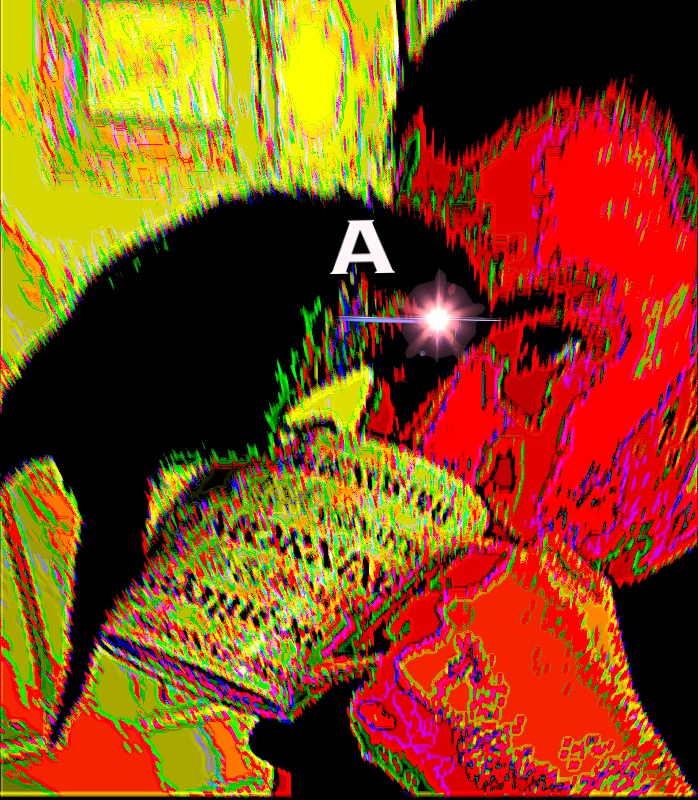 1AF581C8-D88D-4ABA-8986-8DB3F460D943.jpeg
