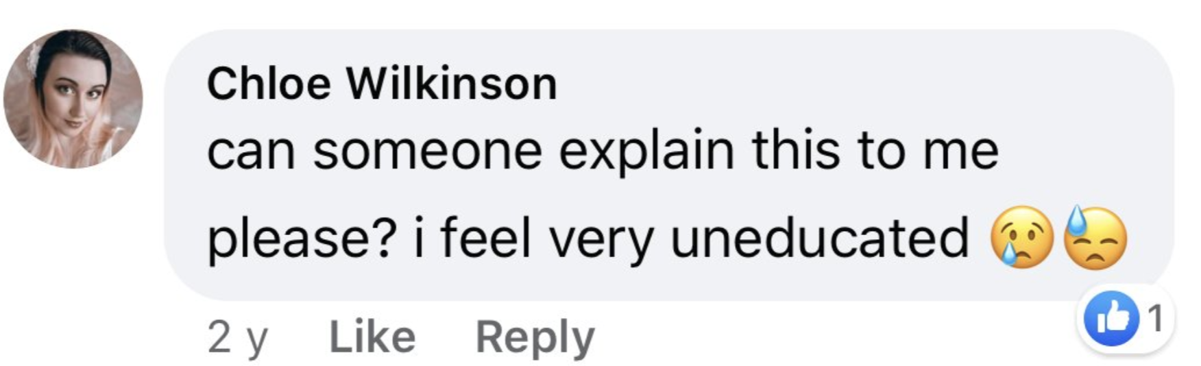 1c.png