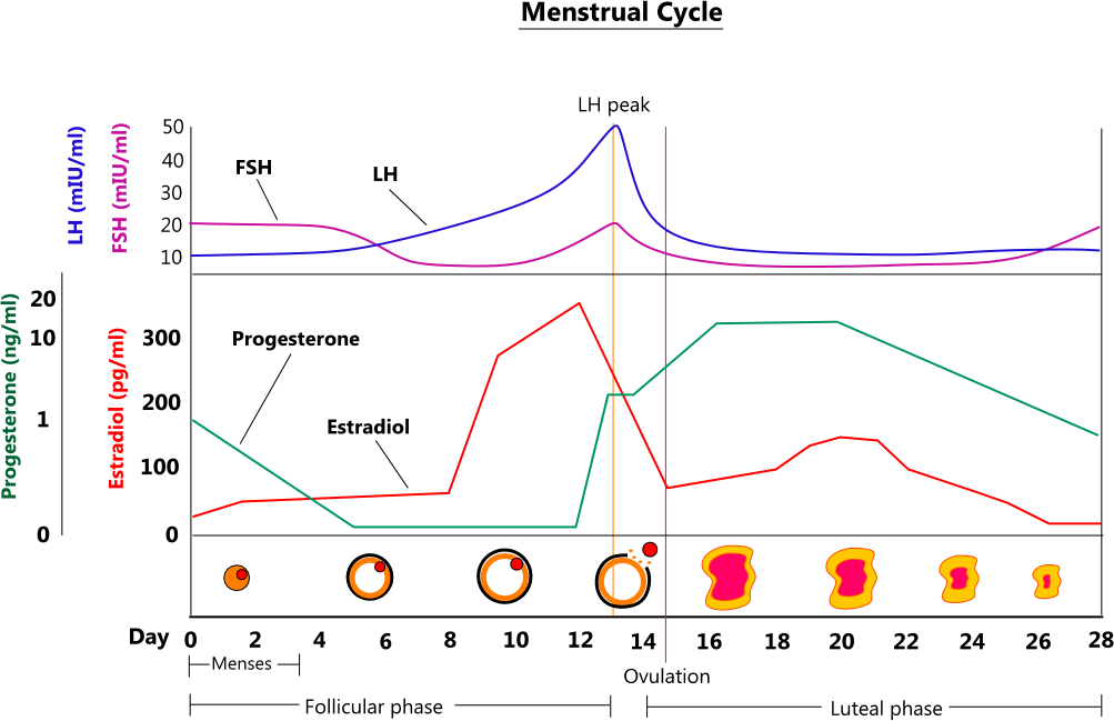 1E63A17B-2A98-4B9C-AF45-92C45E06DE13.png