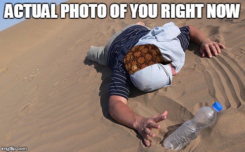1rnlit.jpg