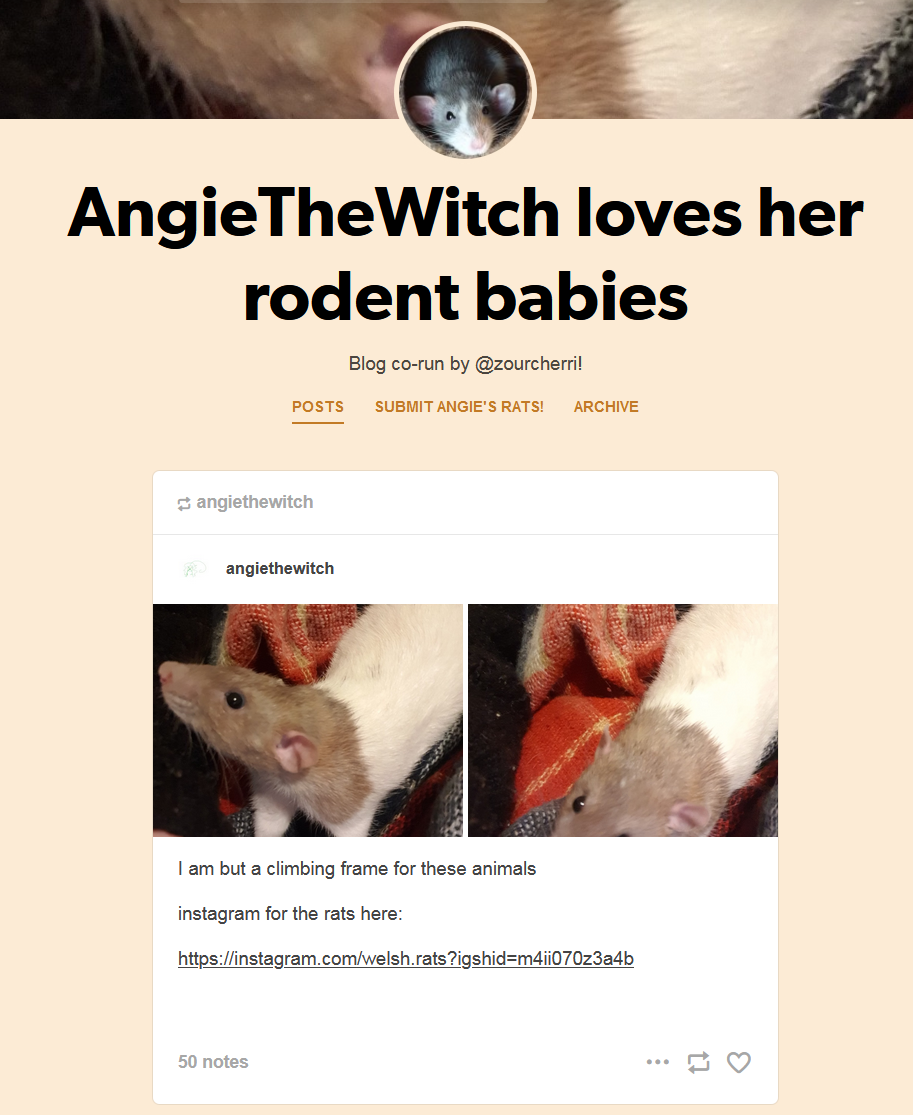2.PNG