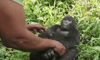 200.gif
