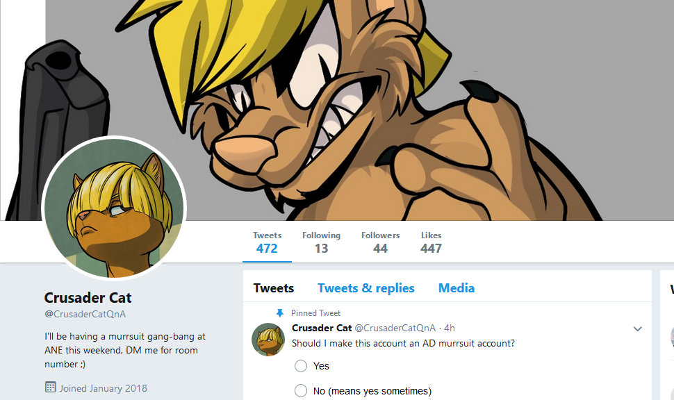2018-02-23 05-14-01-Crusader Cat (@CrusaderCatQnA) _ Twitter.png