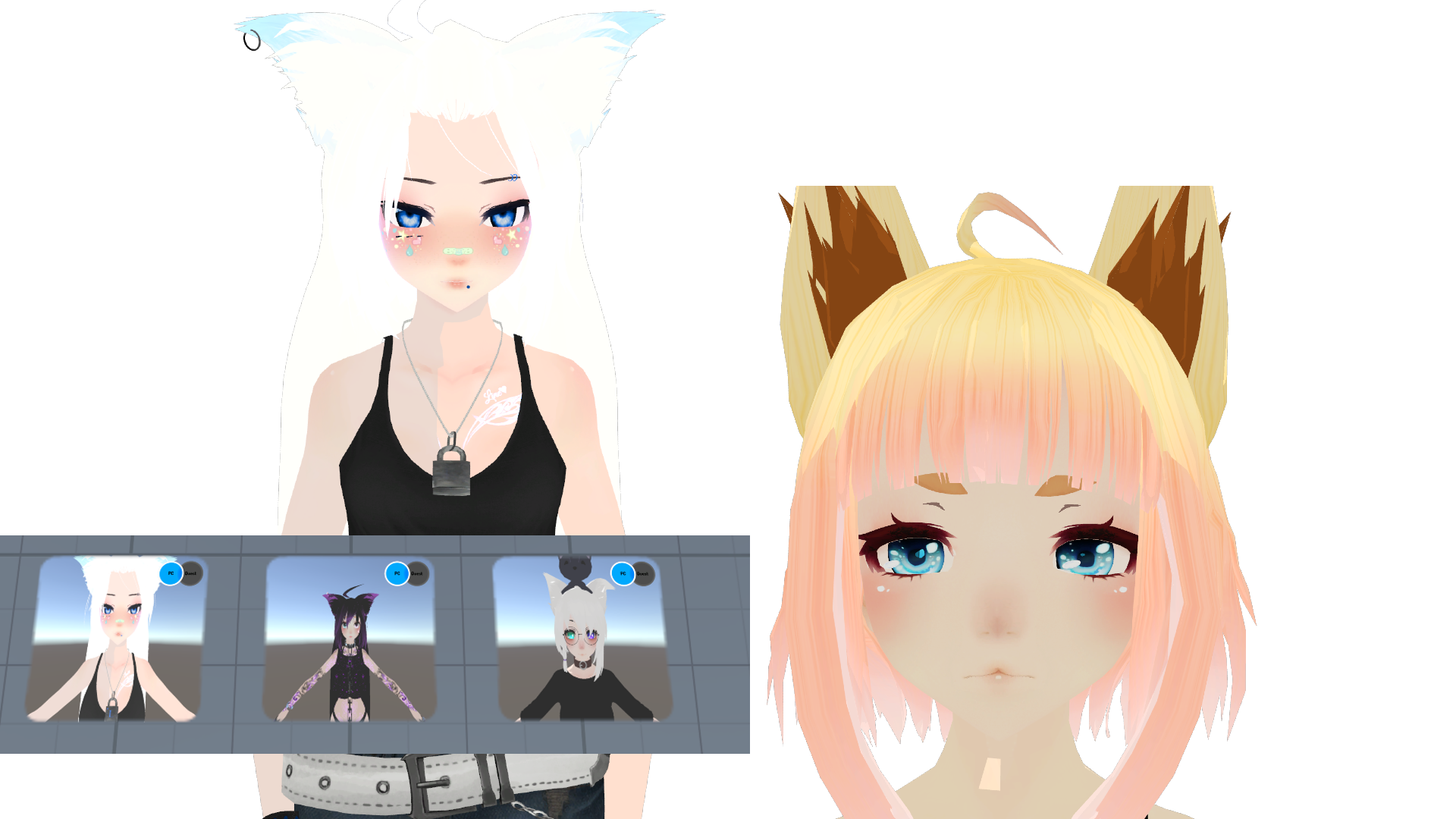 2018_customization.png