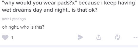 20190116_pads.jpg