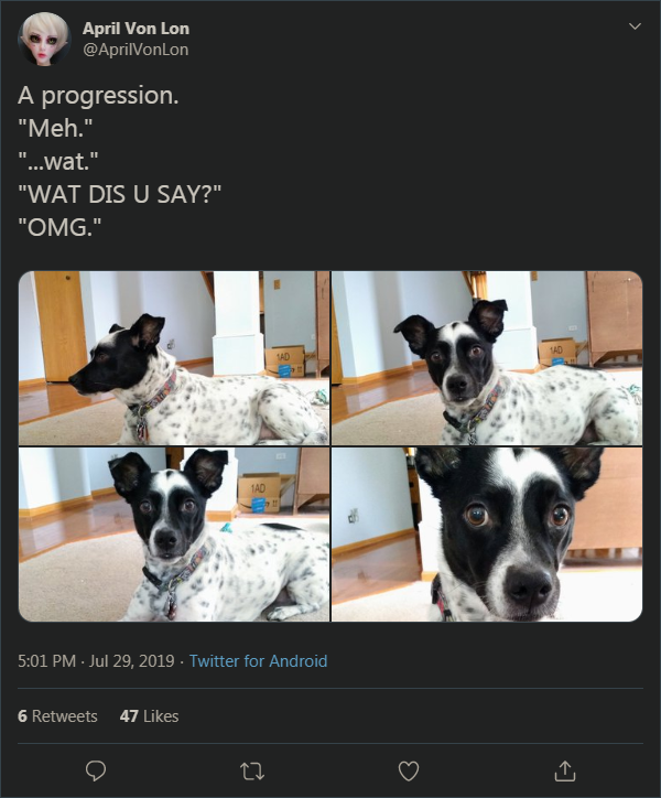 2020-01-01 12_13_42-April Von Lon on Twitter.png
