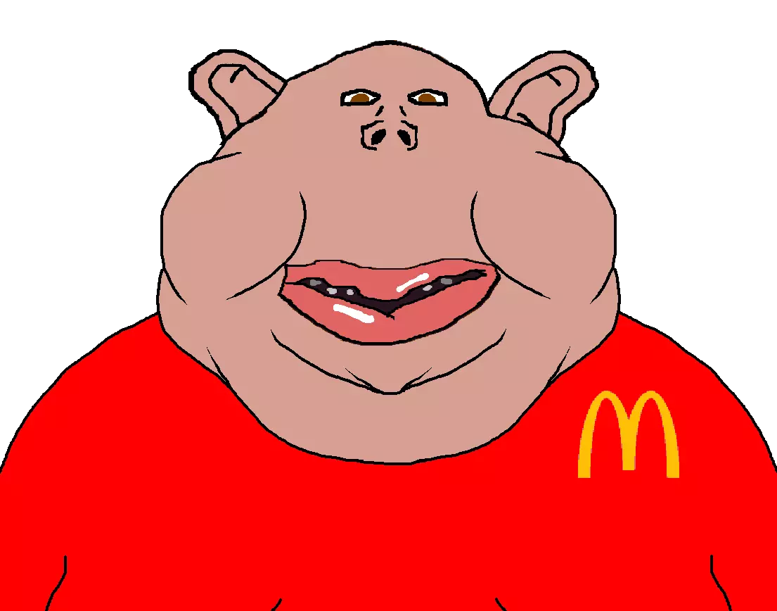 20262.webp