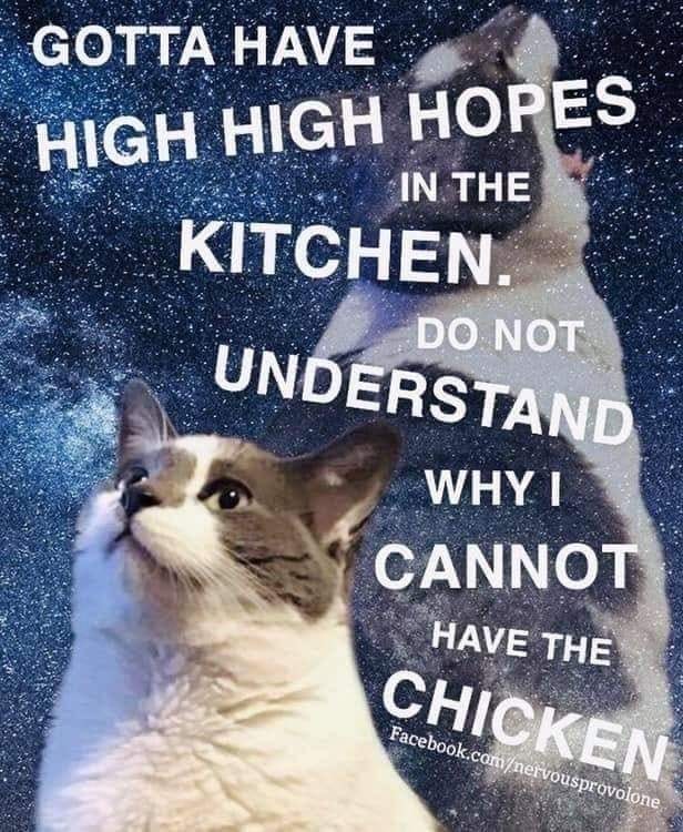 2234B0A5-A790-45E8-94D0-AA0C707CA1A9.jpeg