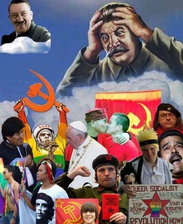 233.jpg