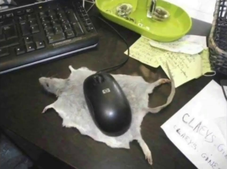 236.png