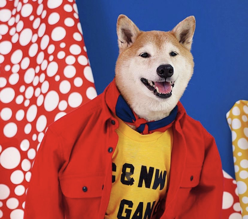 243A73D5-B37D-4790-A0DC-BAF4A291220B.jpeg