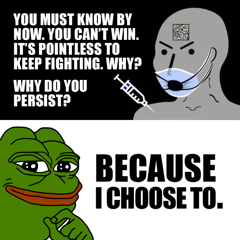 249TpYZELH.jpeg