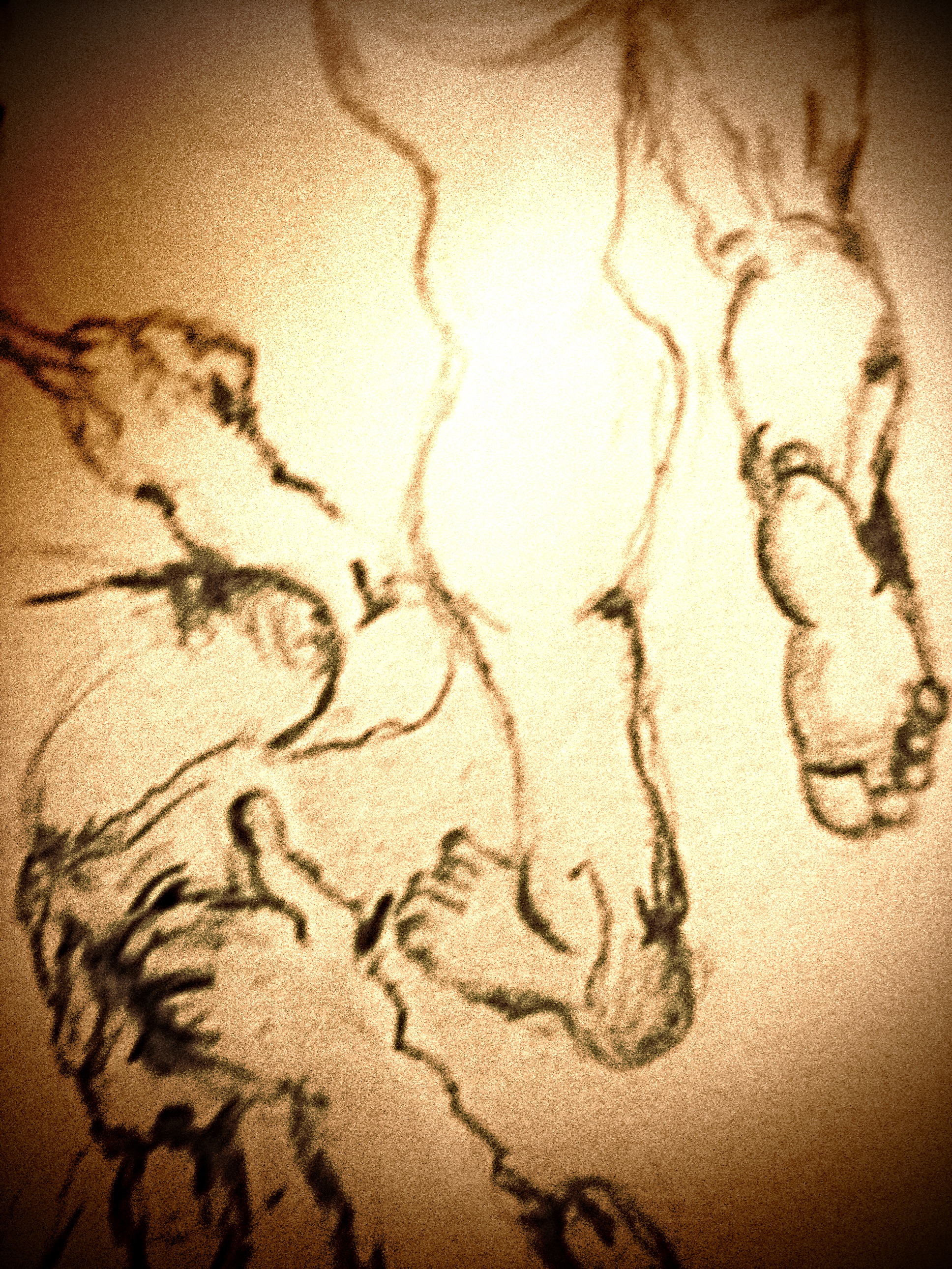 261D6C1C-3198-4413-8586-6957B068752A.jpeg