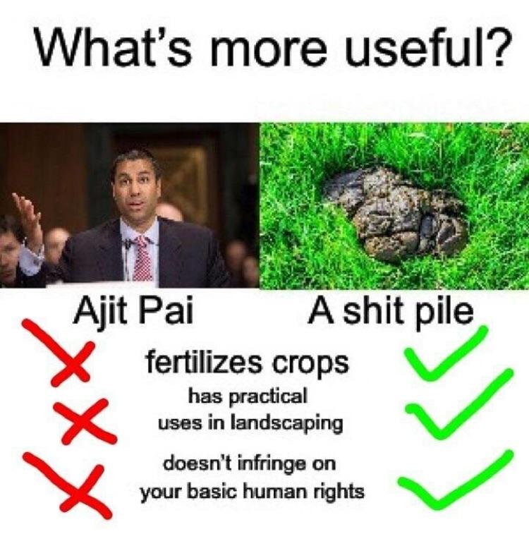 289.jpg