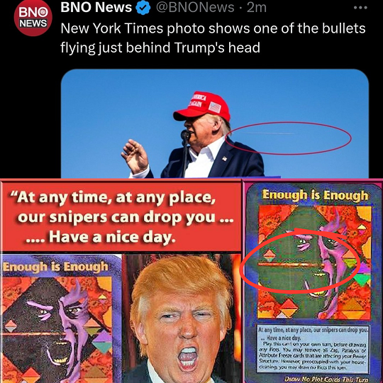 296814834.6_image.png
