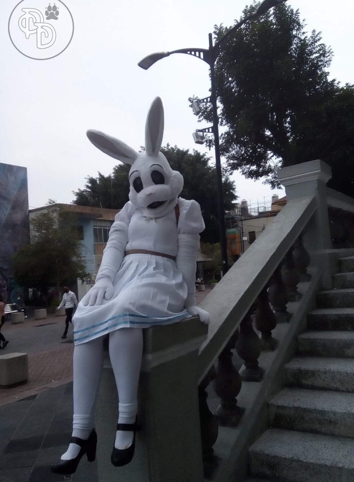 2B9B7118-D92C-4021-89D0-AC3FA942F6FF.jpeg