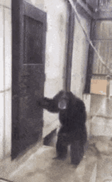 2BC2BF37-910E-4E29-90DE-B9BC6F975E36.gif