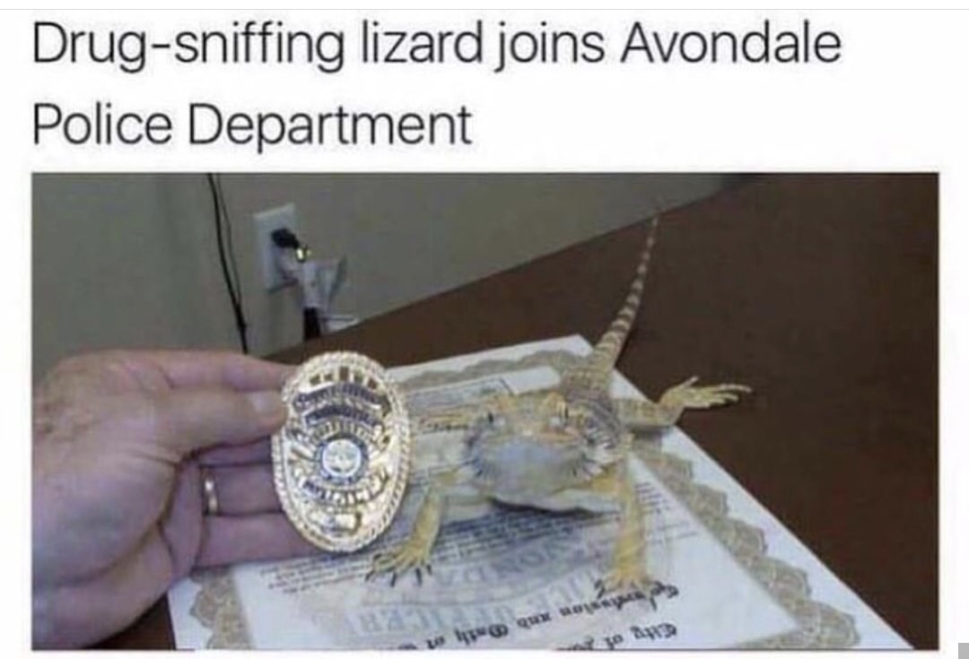 697653