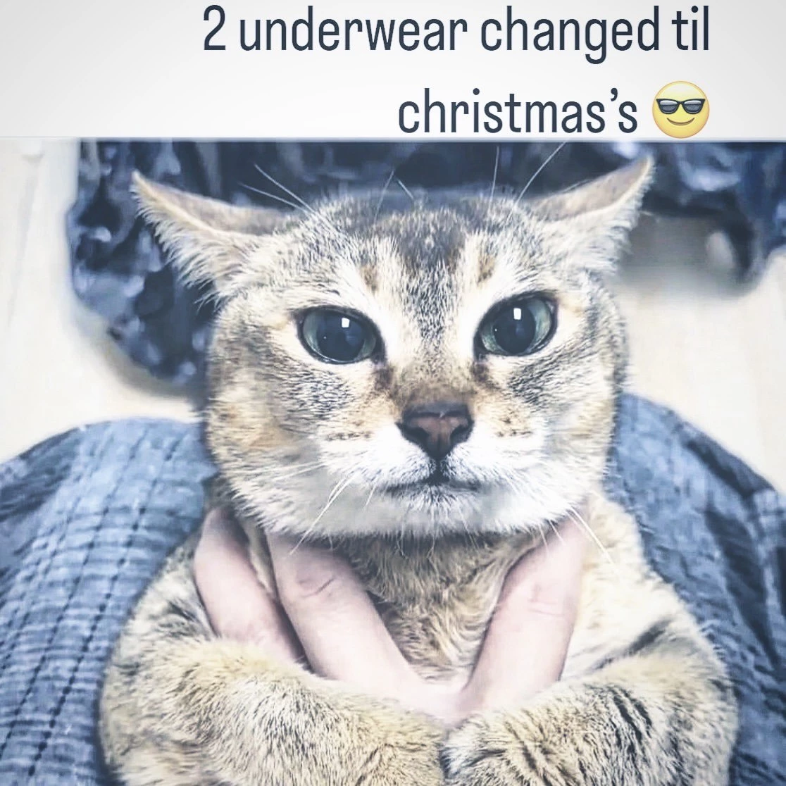 2underwearchangedtilchristmass.webp