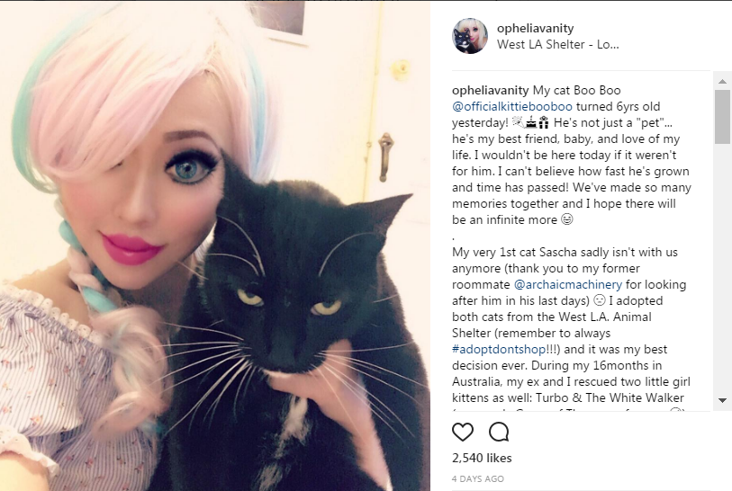 3 cat.png