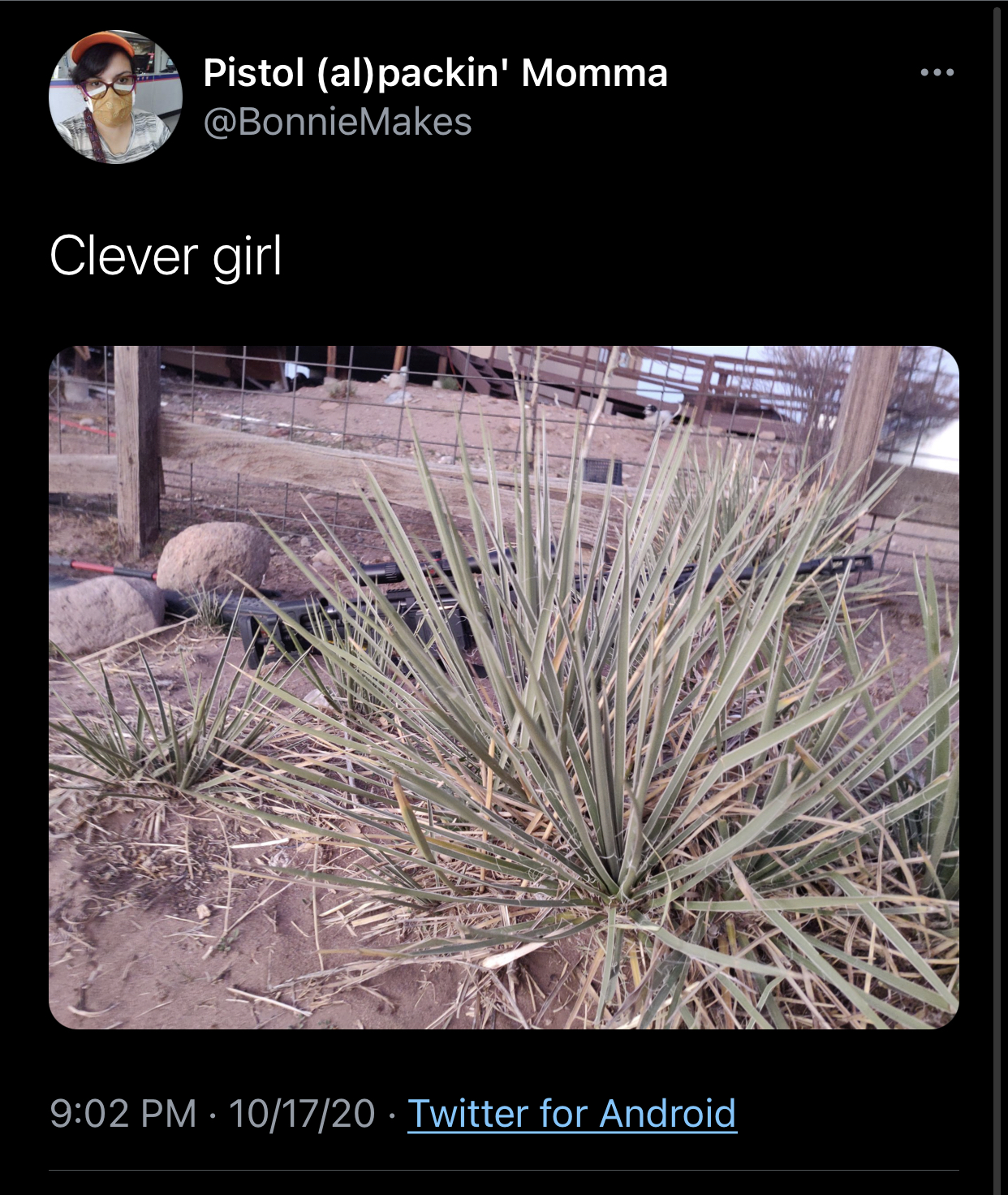 31FDC89C-BB9E-45F7-A6D8-E2E92C6195F8.jpeg