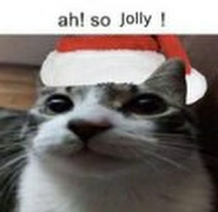 3FD6B2EF-A841-474B-9CE7-D0350F92CDD1.jpeg