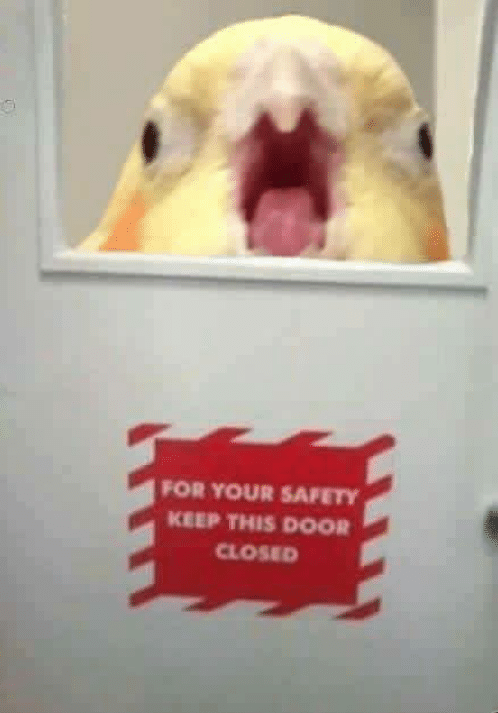 3mFtf.png