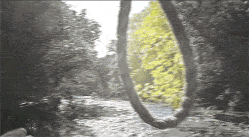 40eca2c5793b6ce311dec69e79417b8f95f1c4cb_hq.gif