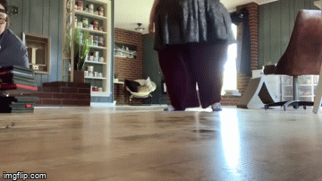411v6a(1).gif