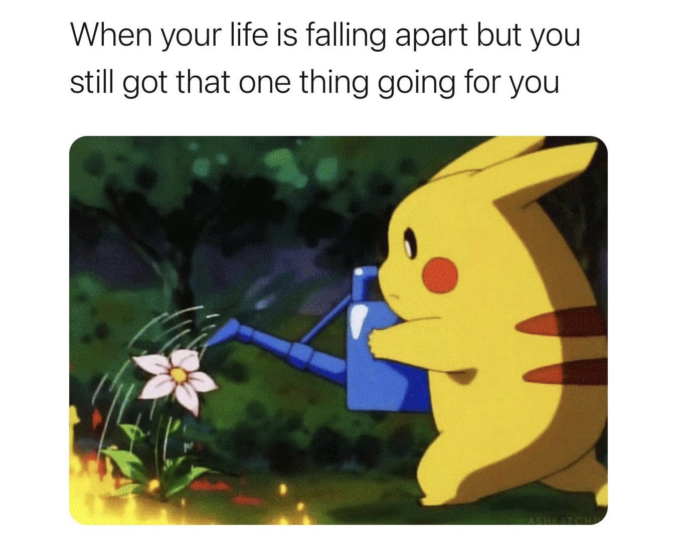 47D0EE83-F0DB-4B9F-8686-99B57148E228.jpeg