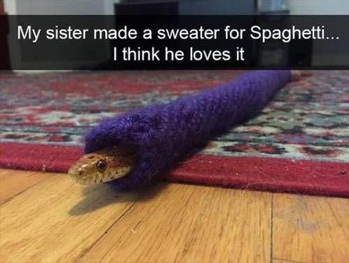 4834B04F-4B32-4FFA-8F9F-5E6758CCA2D6.jpeg