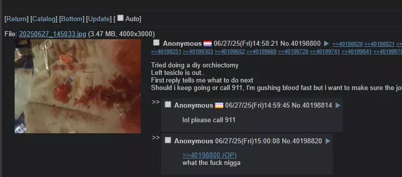 4chan diy.webp