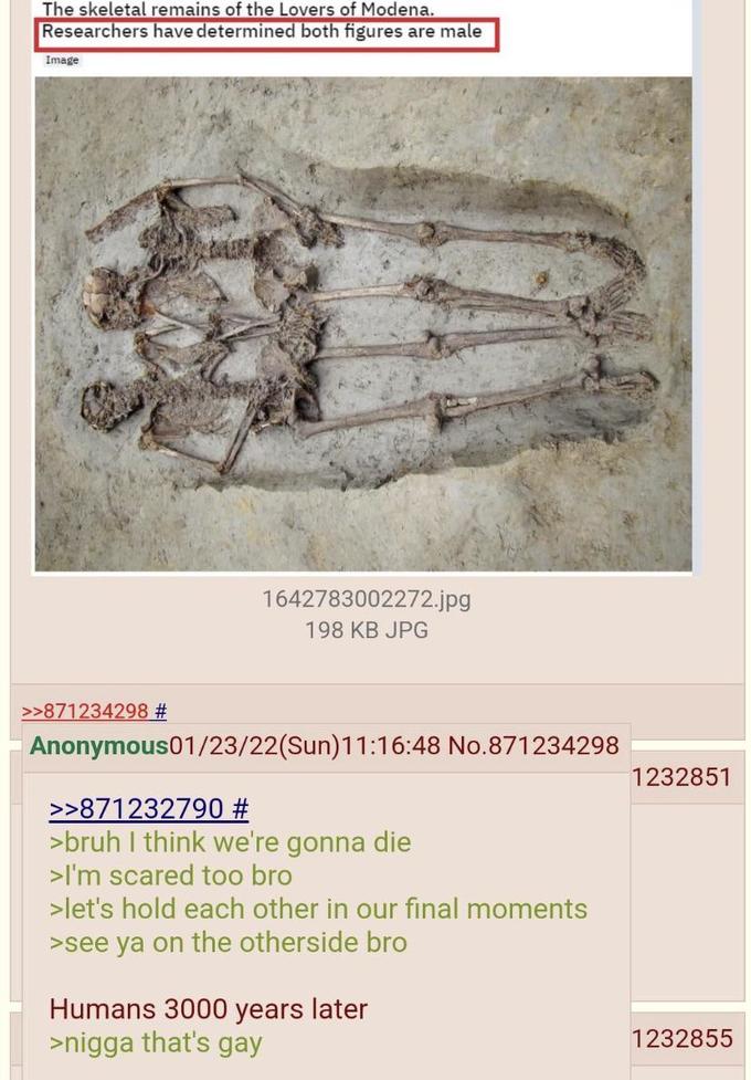 4d7.jpg