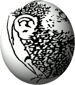 50b.gif