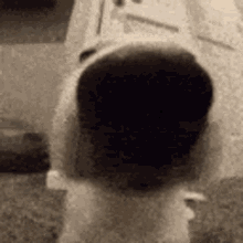 5148468-929fc71ccefa5b12f7d1722f44ac62e4.gif