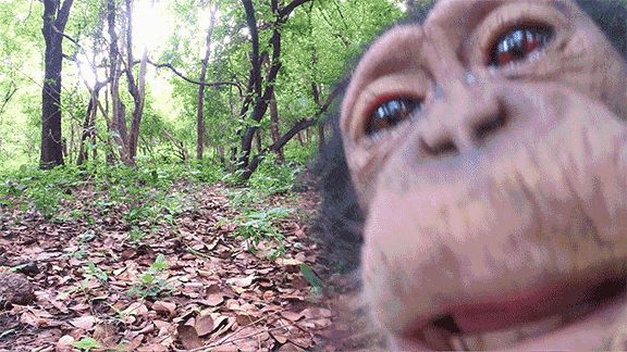 543790bd53ff41db68232eb71b7add30.gif