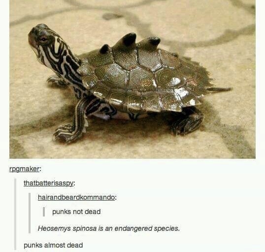 693341