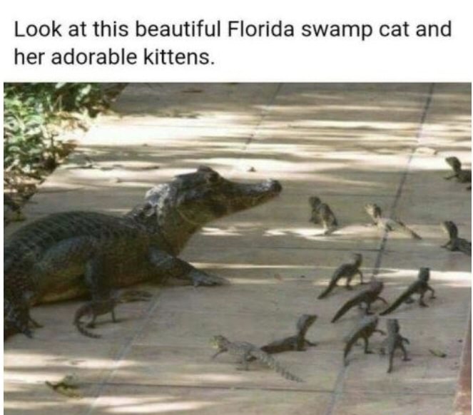 59BAD0F0-4C3C-4F2D-951D-9F79B2EAD94E.jpeg