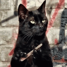 5C446A4D-33E7-4D6F-B53C-CC8FF7CED9DA.gif