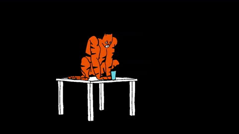 5E17B889-1EC2-4100-B43C-99D620894EBB.gif